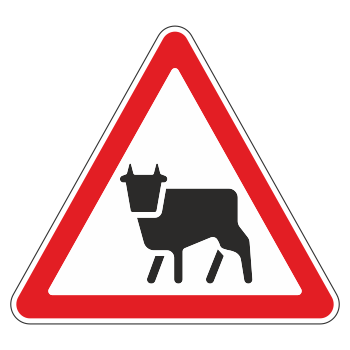 Дорожный знак 1.26 «Перегон скота»